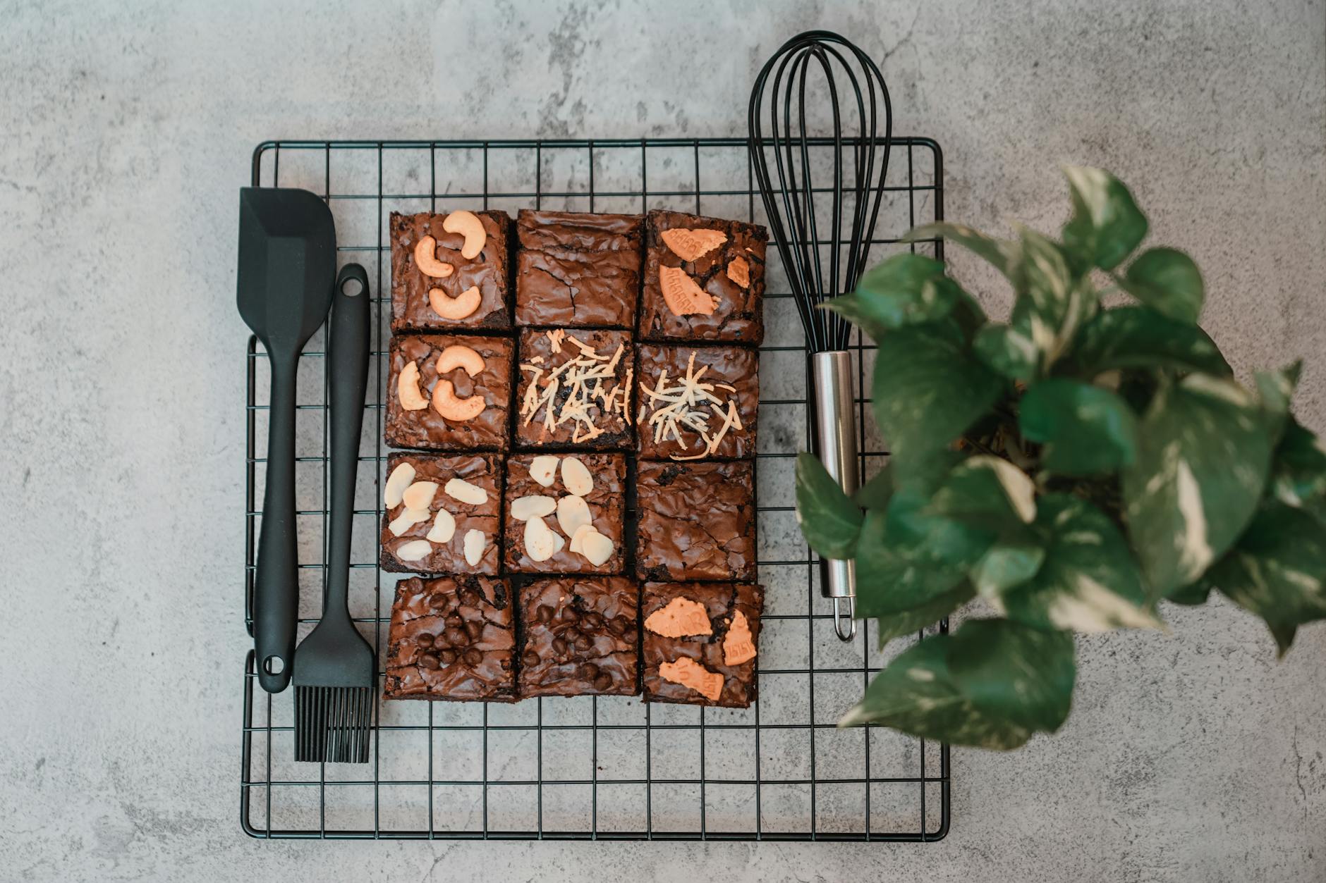 brownies and silicone cooking spatulas beside green plant