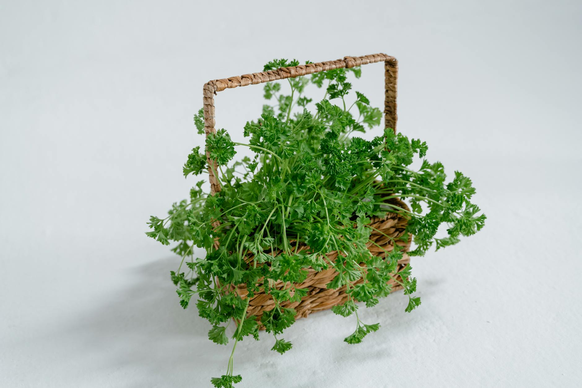 parsley plant on brown wooden basket